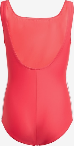 ADIDAS ORIGINALS Swimsuit 'Adicolor' in Pink