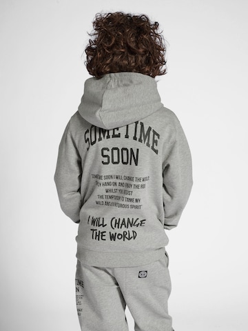 SOMETIME SOON Sweatshirt 'Dimas' i grå