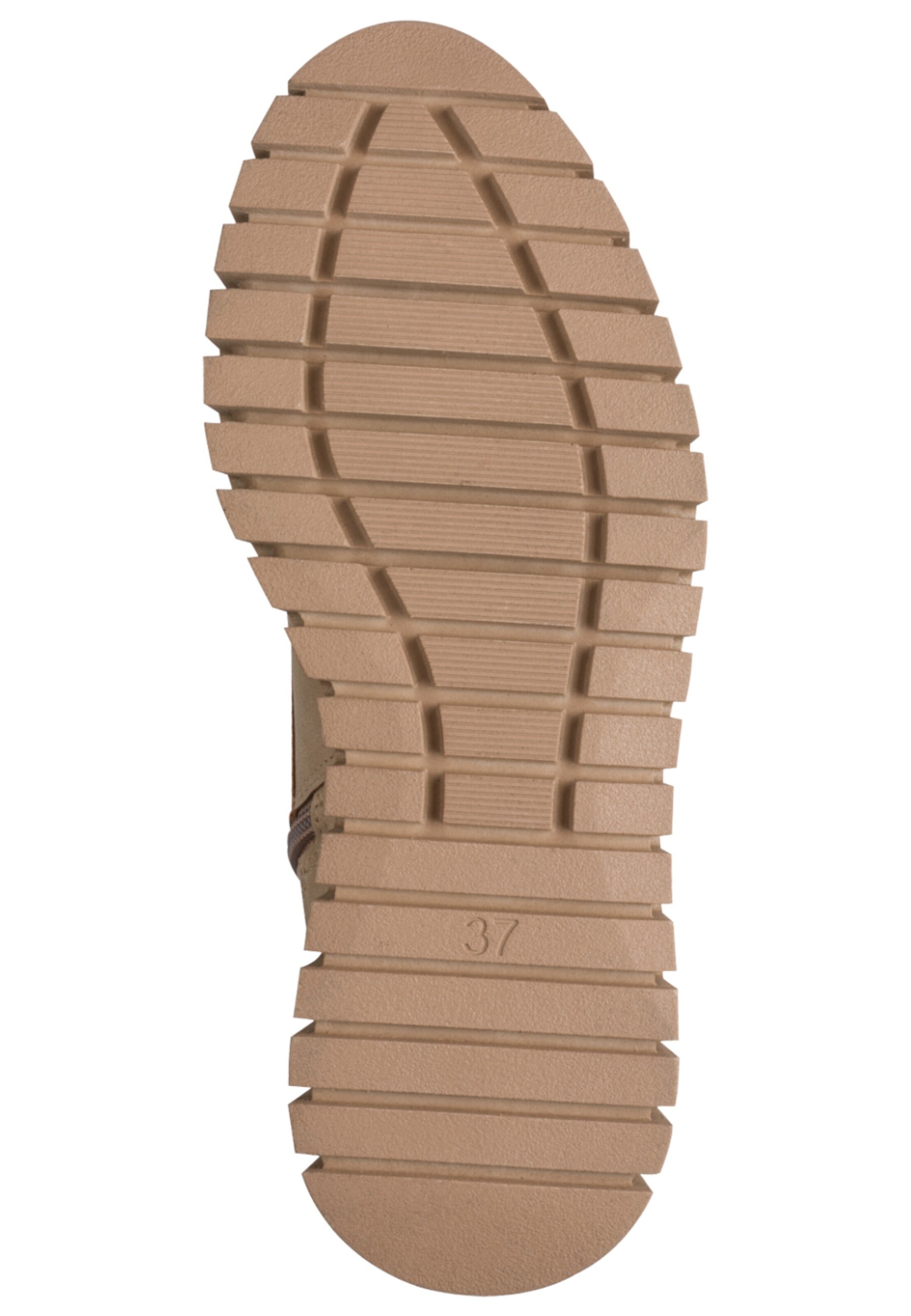 MARCO TOZZI - Botim em cinzento