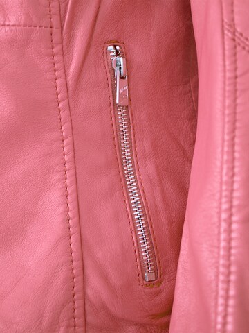 Jilani Tussenjas 'Aspyn' in Oranje