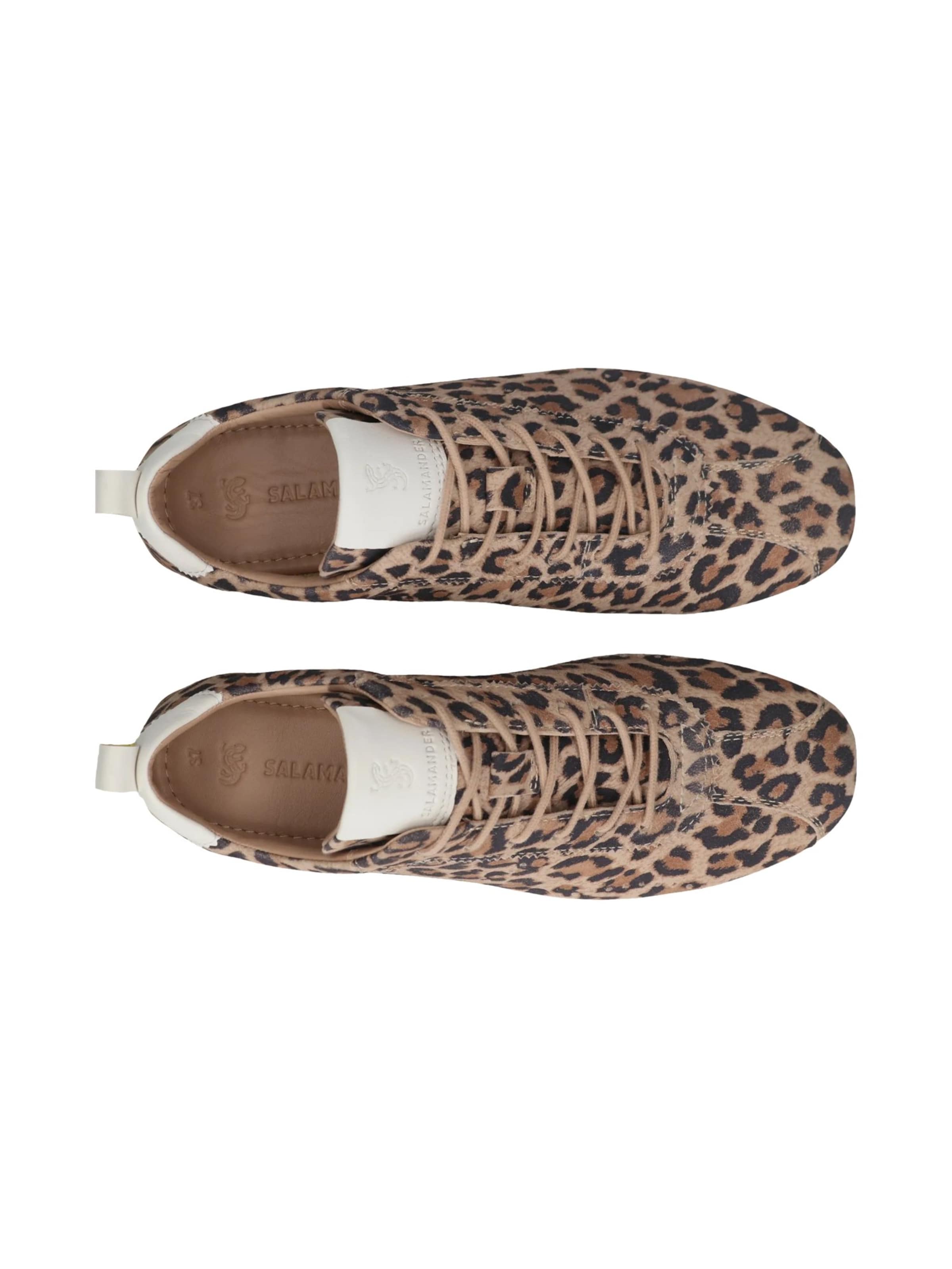 Baskets basses SALAMANDER en marron