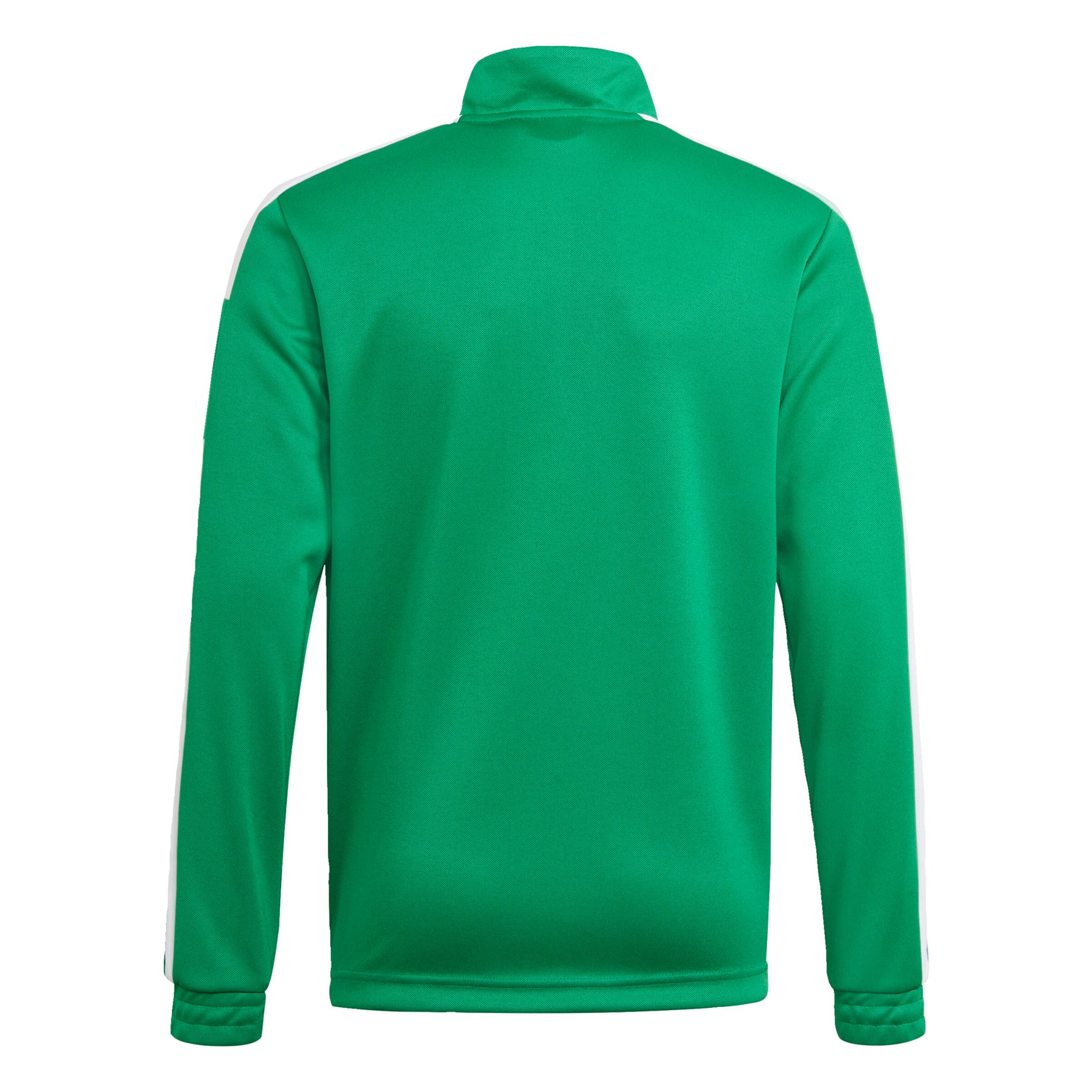 ADIDAS PERFORMANCE Sportsweatshirt 'Squadra 21' in Grün