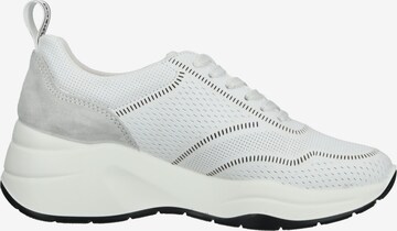 IGI&CO Sneakers in White