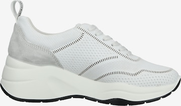 Sneaker bassa di IGI&CO in bianco