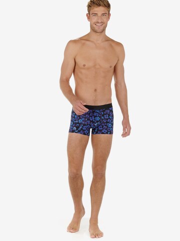 HOM Boxer shorts 'Will' in Blue
