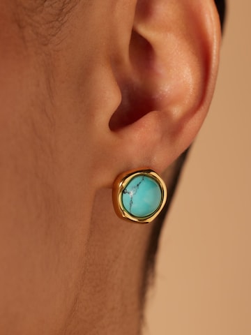 Lucardi Oorbellen in Goud