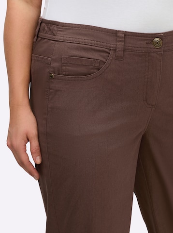SHEEGO Regularen Hlače | rjava barva