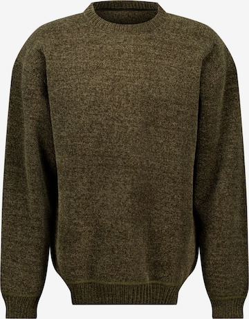Deeluxe Pullover in Grün: Vorderseite