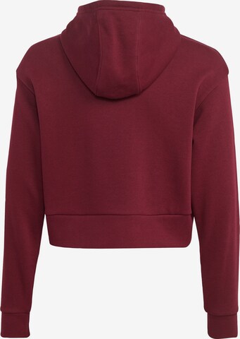 ADIDAS ORIGINALS Sweatshirt 'Adicolor' in Rot