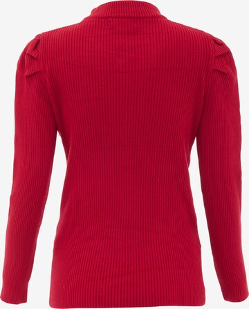 caneva Sweater in Red