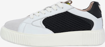 Crickit Sneaker ' OTIS ' in Mischfarben