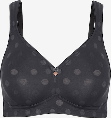 SUSA Minimizer 'Rhodos' in Grey: front