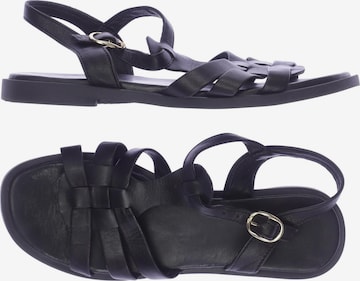 Apple of Eden Sandalen 40 in Schwarz: predná strana