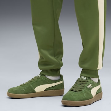 PUMA Platform trainers 'Palermo' in Green