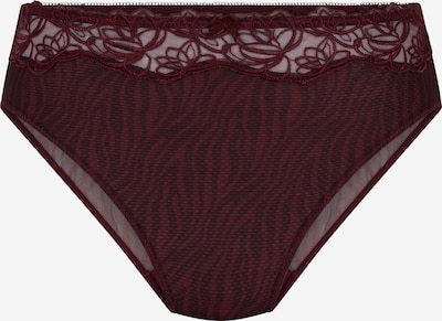 Hunkemöller Panty 'Diva' in S in Burgundy, Item view