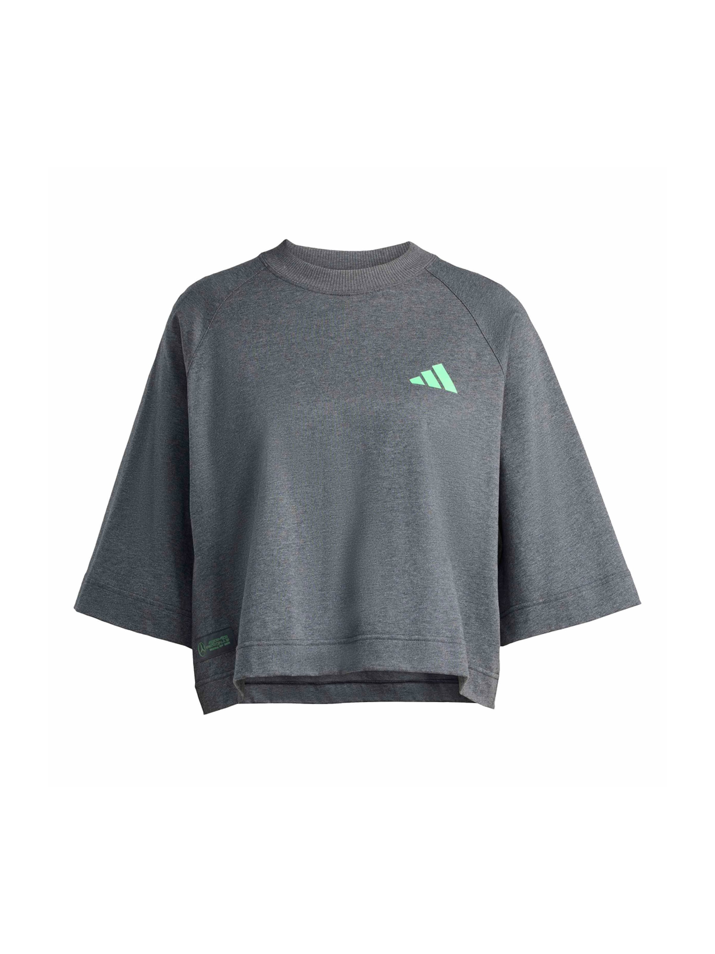 ADIDAS PERFORMANCE Funktsionaalne särk 'Mercedes - AMG Petronas Formula One Team', värv hall: eest vaates