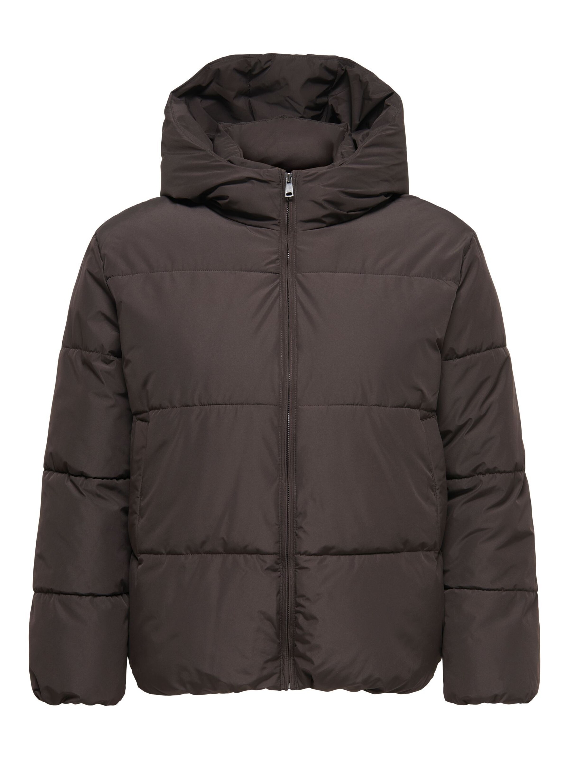 Veste d’hiver 'CARJUTA' ONLY Carmakoma en marron : devant