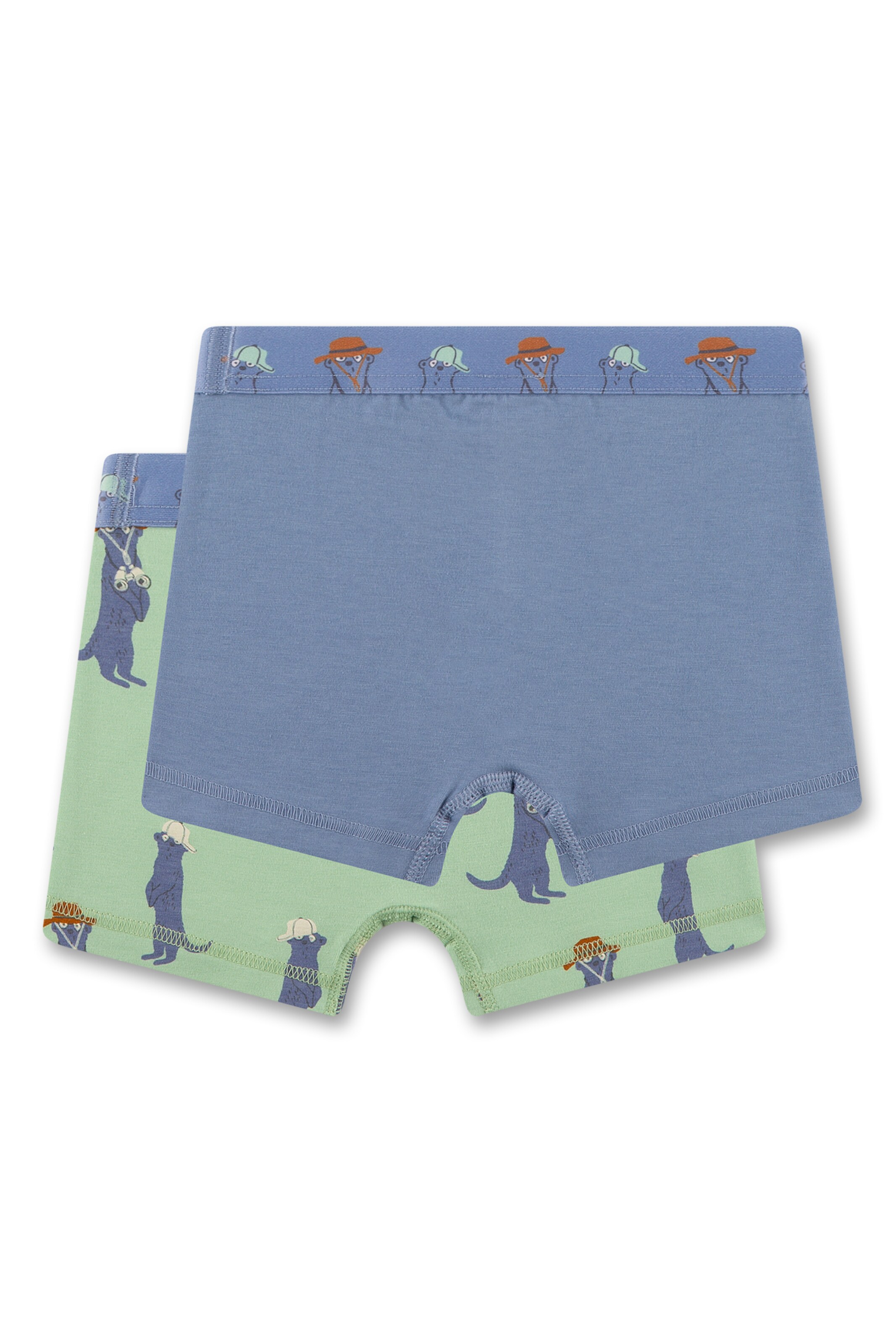 Pantaloncini intimi di Sanetta in blu