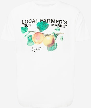 T-Shirt ESPRIT en blanc : devant