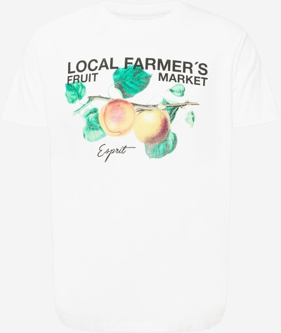 ESPRIT T-Shirt in mischfarben / weiß, Produktansicht