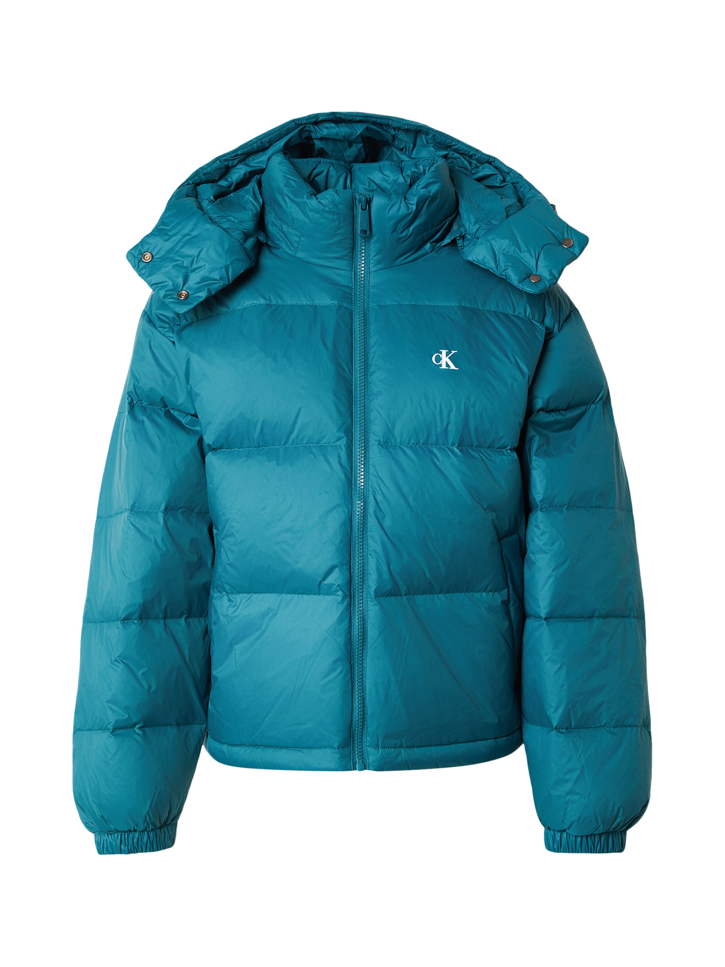 Calvin Klein Jeans Winter Jacket 'Essential' in Green: front