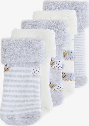 Chaussettes Next en gris : devant