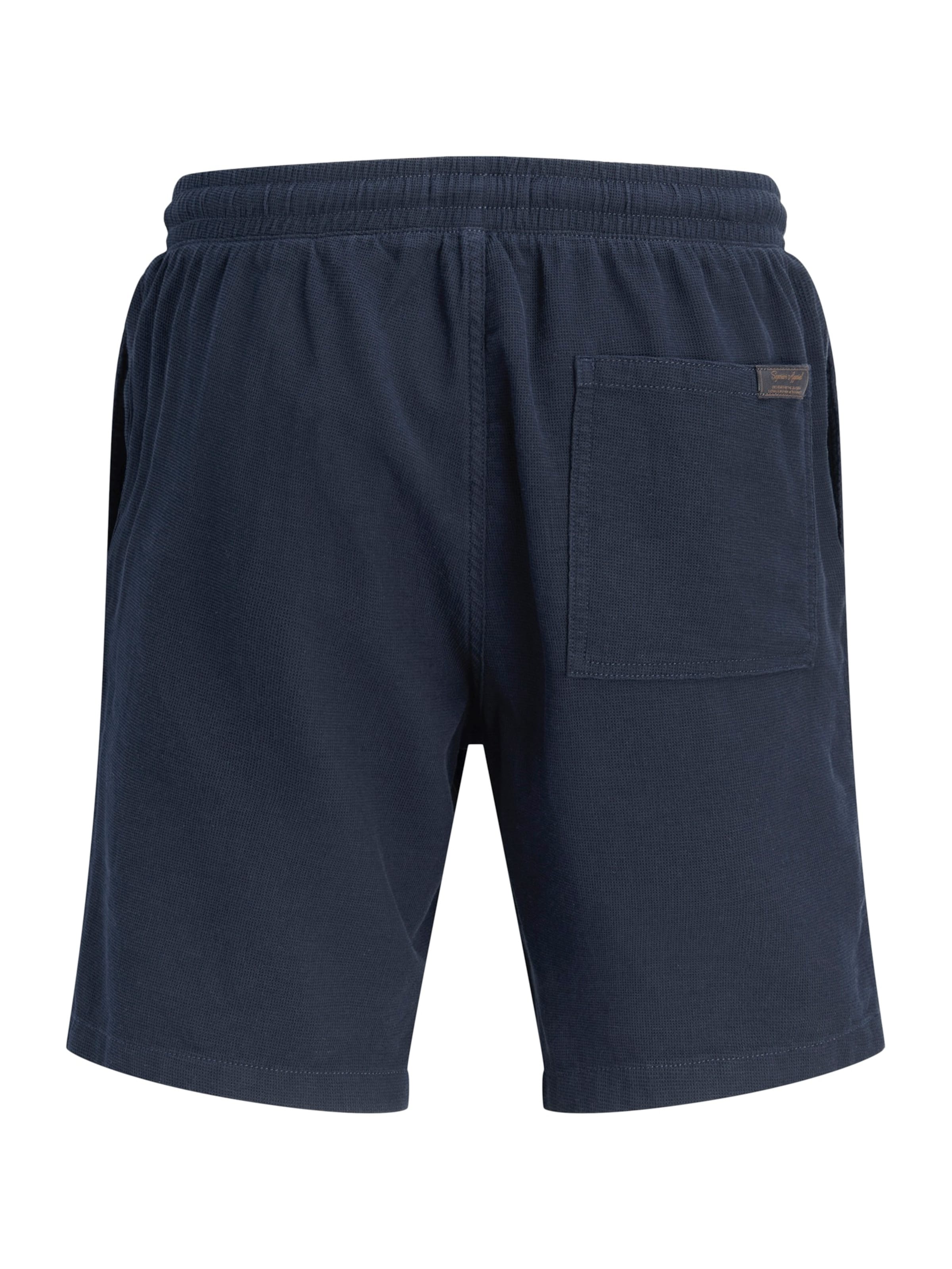 Jack & Jones Plus Normální Kalhoty 'JPSTJAIDEN' – modrá