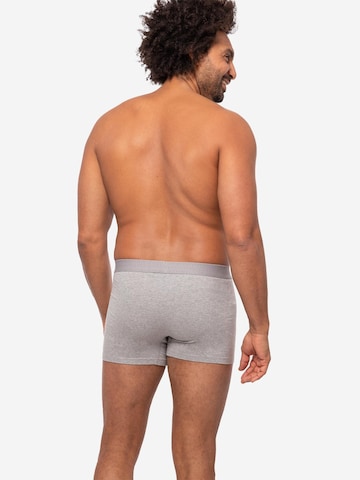 Almonu Boxer shorts 'Cotton' in Grey