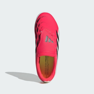 Scarpa sportiva 'Predator Club' di ADIDAS PERFORMANCE in rosso