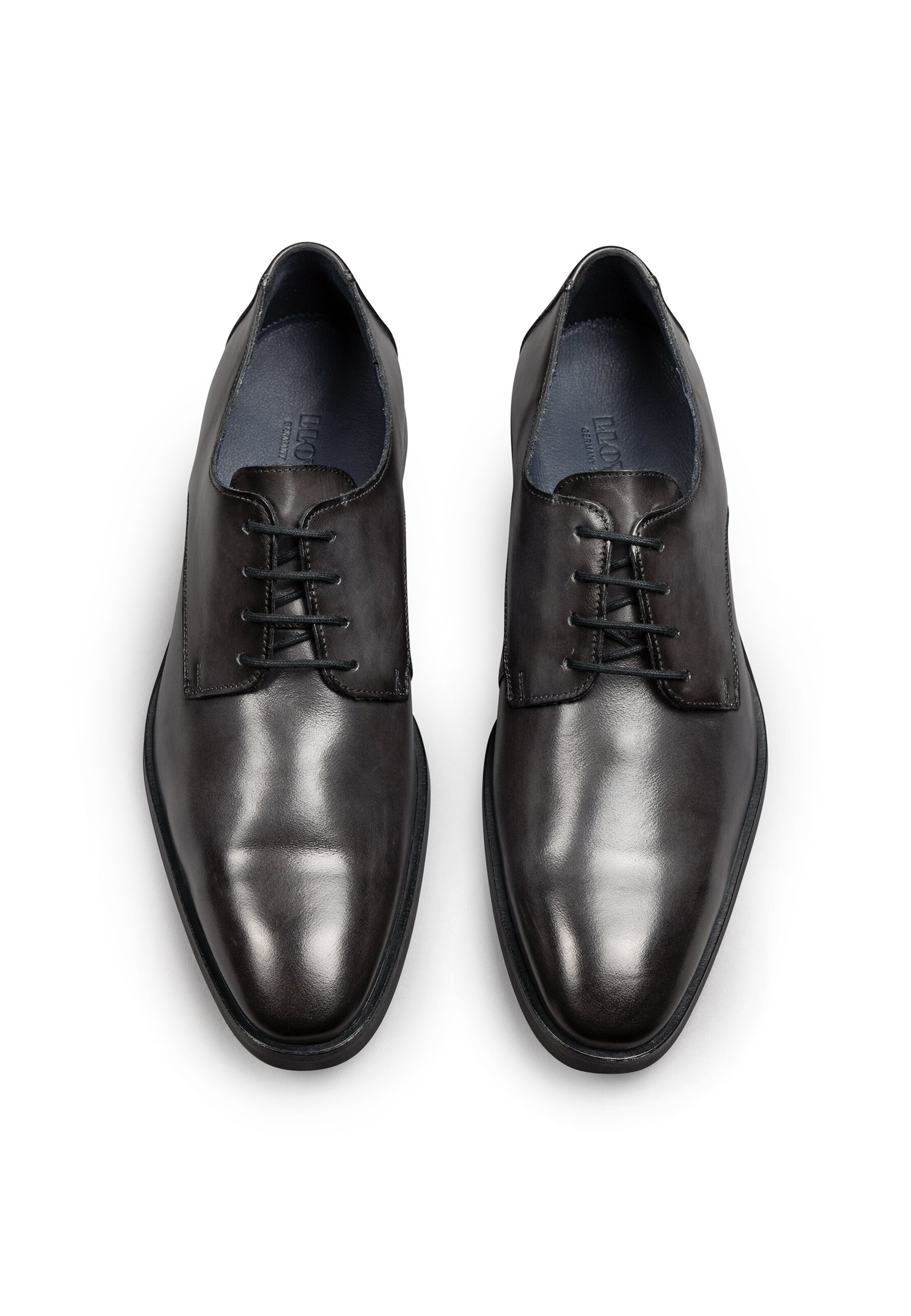 LLOYD Veterschoen 'Opal' in Bruin