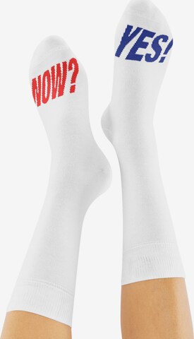 CHEERIO* Socks 'CHEERIO x EIKE NOW? YES!' in White: back