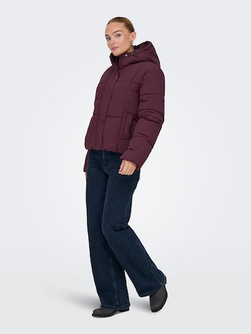 JDY Winter jacket 'JDYWONDER' in Purple