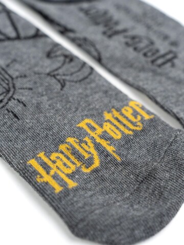 Harry Potter Socken 'Hogwarts'‌‌‌‌‌‌‌ in Mischfarben