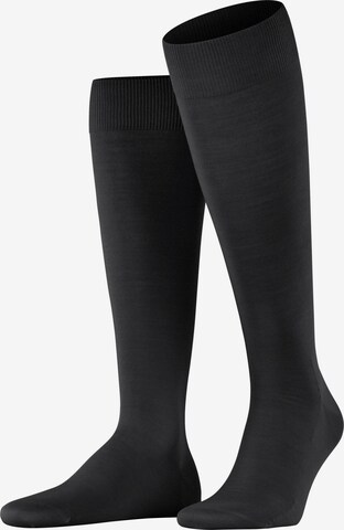 FALKE Kniestrümpfe 'ClimaWool' in Schwarz: Vorderseite