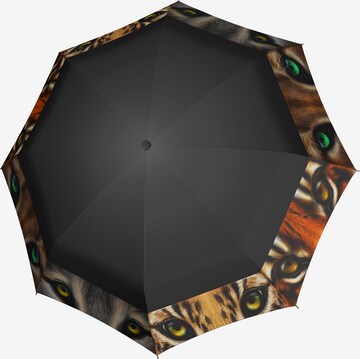 Ombrello di Doppler in colori misti: frontale
