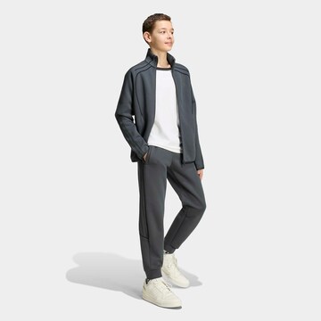 ADIDAS ORIGINALS Tapered Pants in Grey