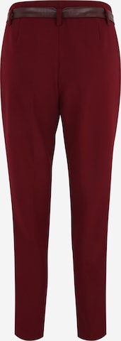 MORE & MORE Regular Pleated Pants in Red