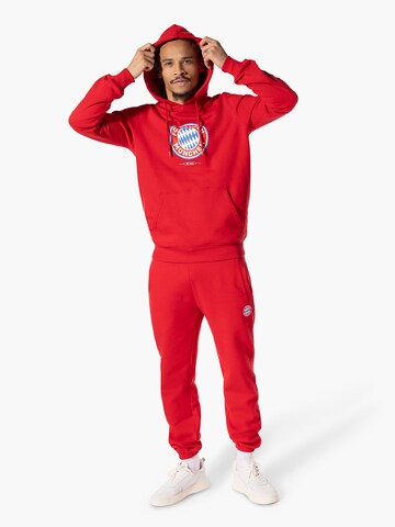 FC BAYERN MÜNCHEN Sweatshirt 'Essential' in Red
