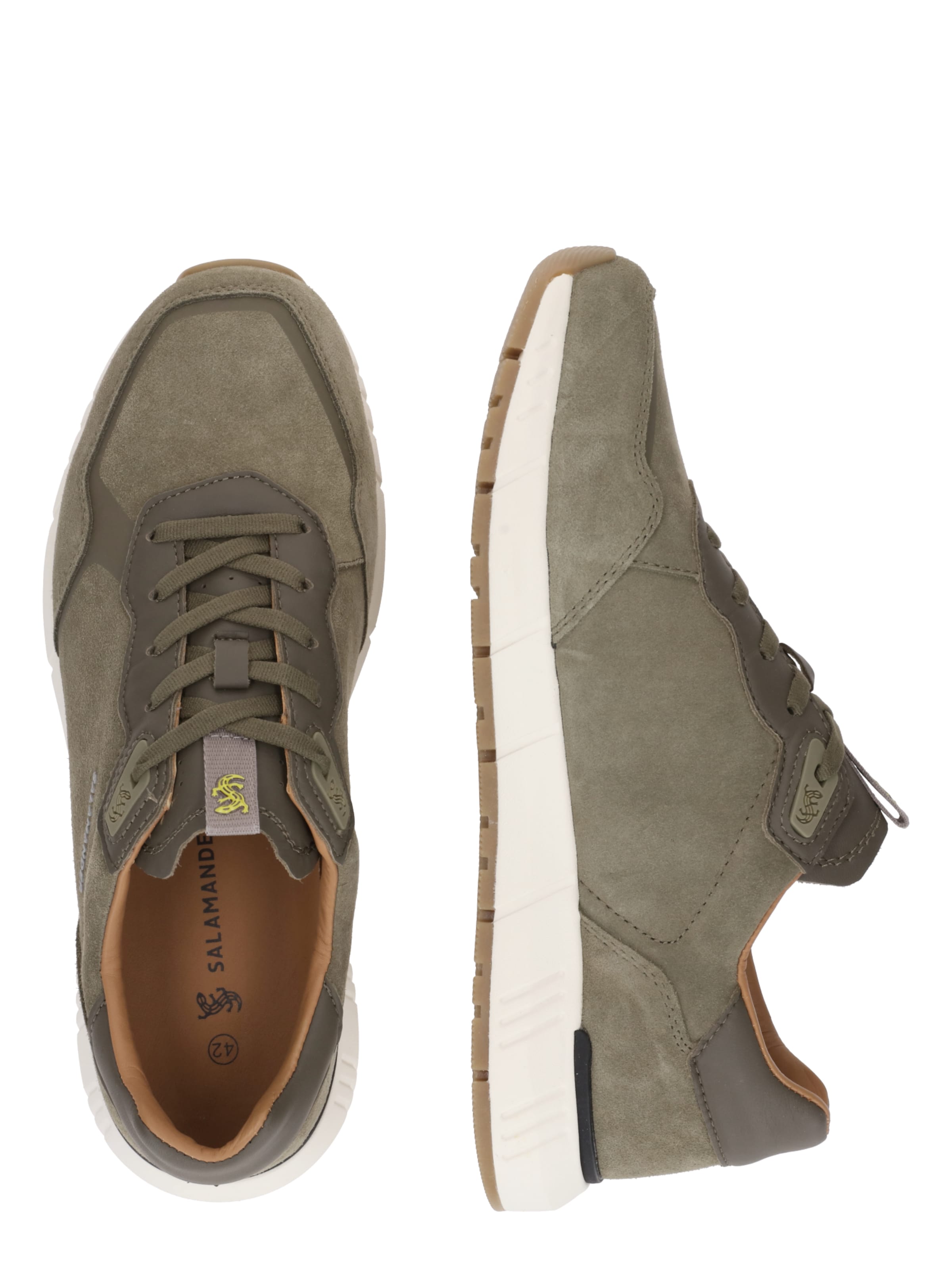 SALAMANDER Низкие кроссовки в Зеленый