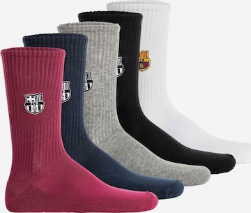 FC Barcelona Socken in Mischfarben: Vorderseite