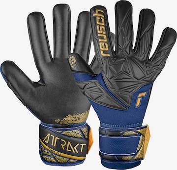 REUSCH Athletic Gloves 'Attrakt Gold X NC' in Blue: front