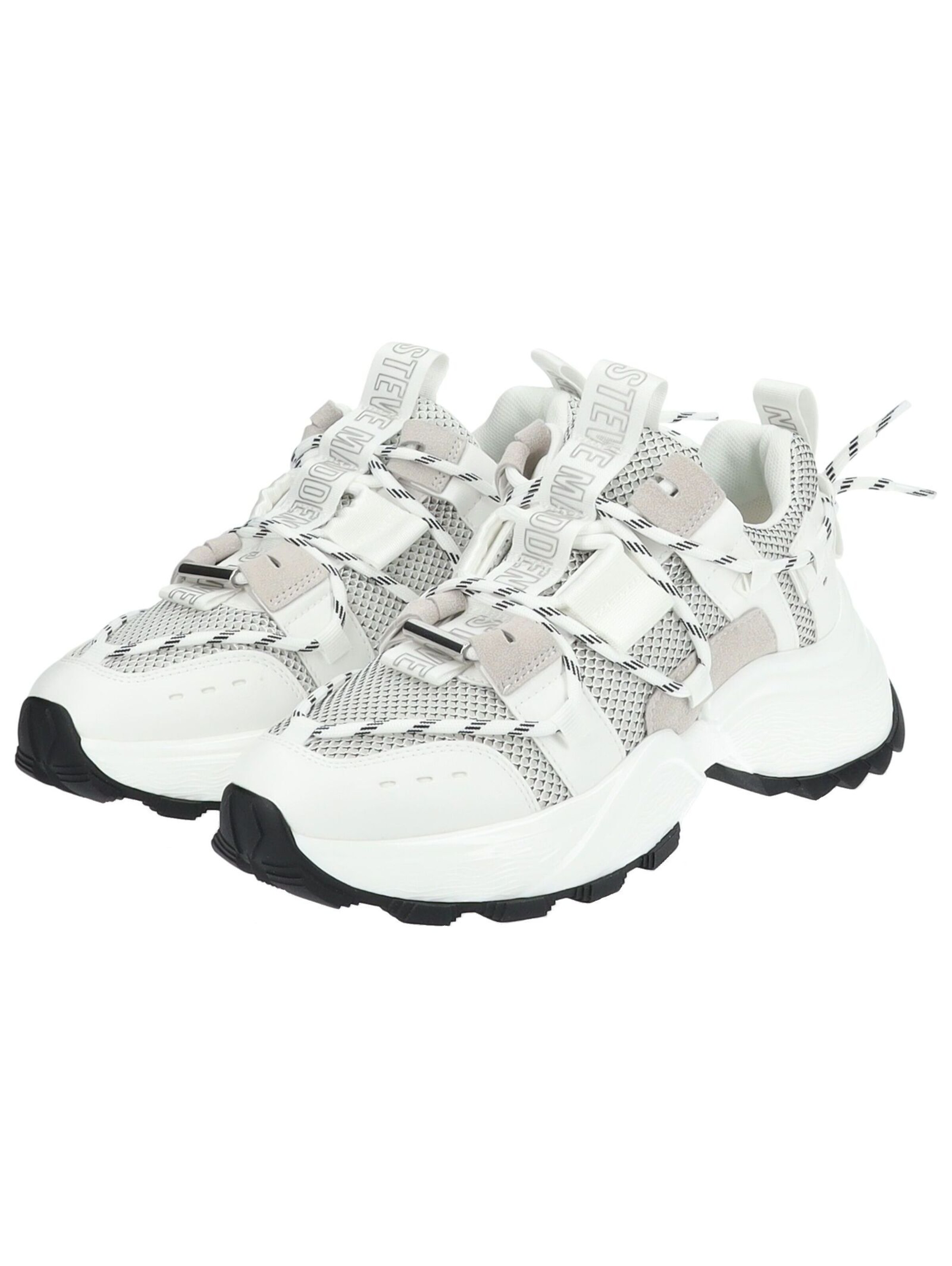 STEVE MADDEN Sneakers laag 'Tazmania' in Wit