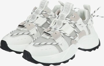 STEVE MADDEN Sneakers laag 'Tazmania' in Wit