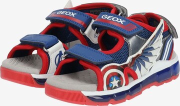 GEOX Offene Schuhe in Mischfarben