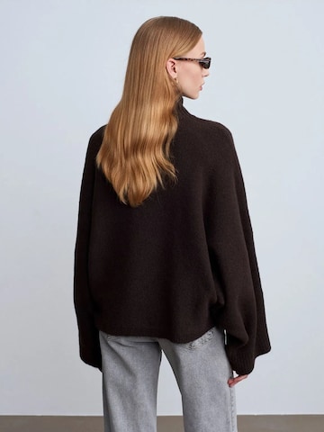 Pullover 'Pullover' di Dilvin in marrone