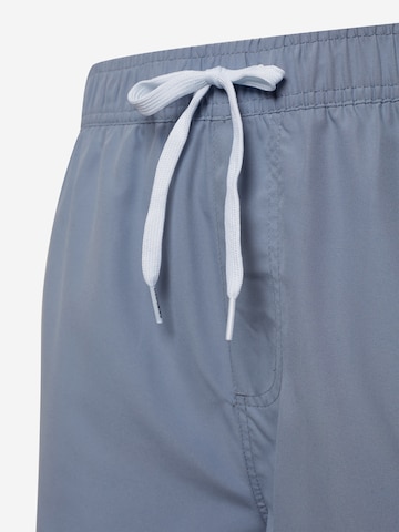 DEDICATED. Board Shorts in Grey