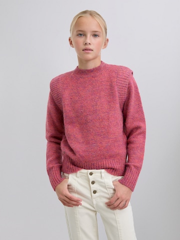 Scalpers Свитер в Красный