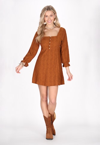 IZIA Dress in Brown