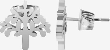 Akzent Earrings 'Marja' in Silver: front