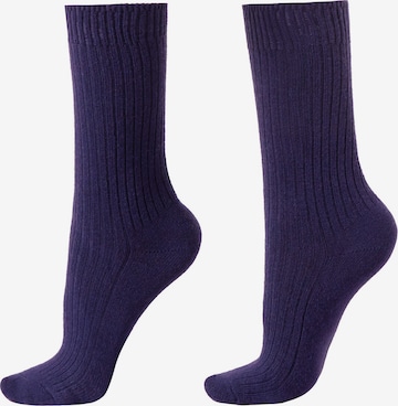 CALZEDONIA Socks in Blue: front